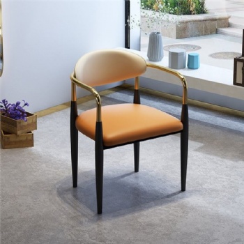 Stylish Dining Chair